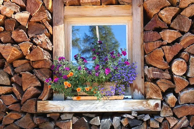 pile of wood, window, stock, firewood, beautiful flowers, wood, heat, old window, wood supply, layers, flower background, wooden windows, logs, window bars, nature, deco, flower, splendid colors, fall, decorative, summer flowers, plant pot, window sill, mood, emotion, flower wallpaper, nostalgia, still life, window, firewood, firewood, firewood, firewood, firewood, old window, old window, still life, still life, still life