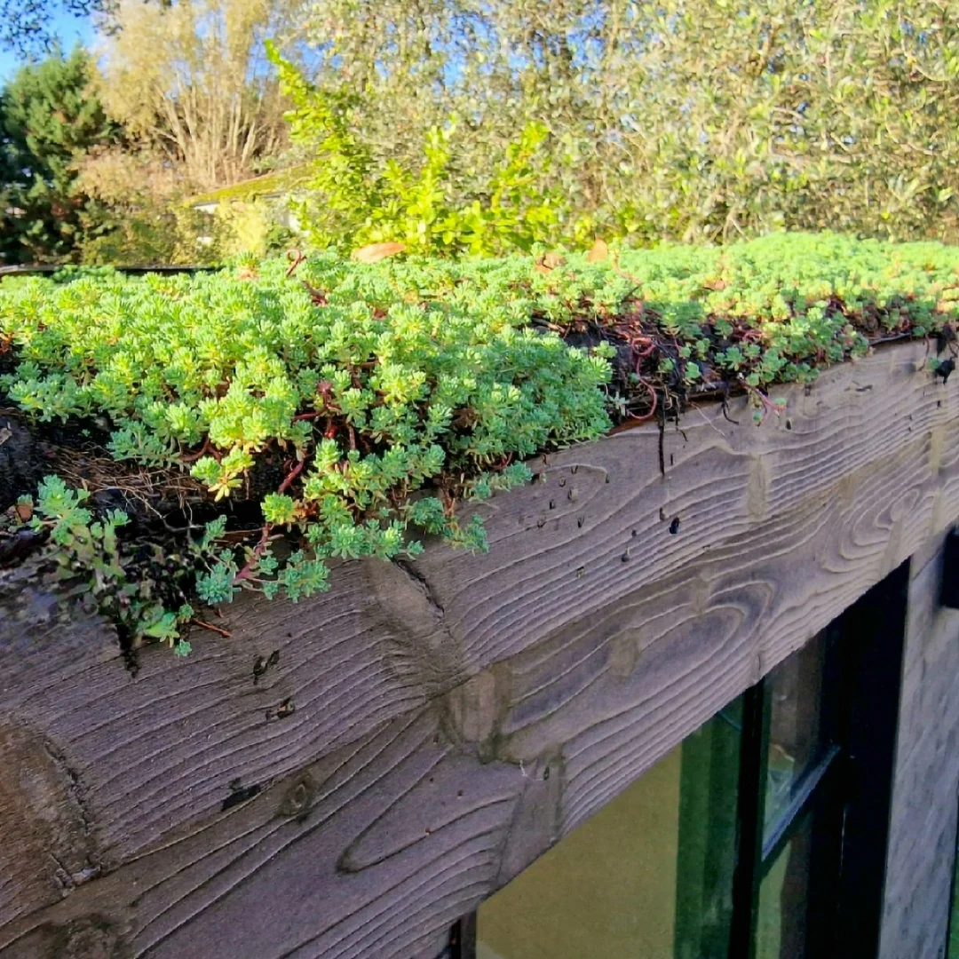 FAQS - Love Nature